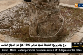 الوادي: تساقط كثيف لحبات البرد