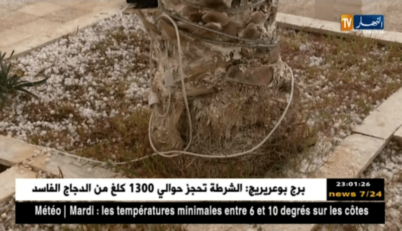 الوادي: تساقط كثيف لحبات البرد