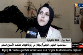 أميرة بوزار تصنع “ديناصور” من العجلات المطاطية بسيدي بلعباس