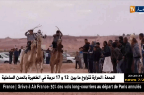 ورقلة: سباق المهاري.. موروث حضاري يعبر عن الأصالة