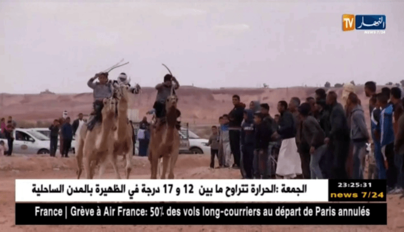 ورقلة: سباق المهاري.. موروث حضاري يعبر عن الأصالة