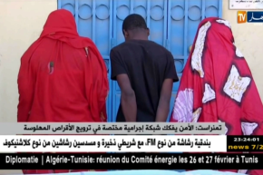 تمنراست: الأمن يفكك شبكة إجرامية مختصة في ترويج الأقراص المهاوسة