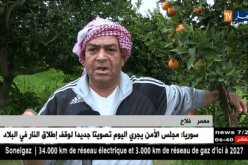 فلاحة: إستمرار تساقط الأمطار.. الفلاحون يستبشرون خيرا