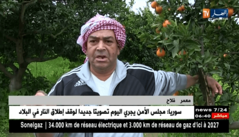 فلاحة: إستمرار تساقط الأمطار.. الفلاحون يستبشرون خيرا