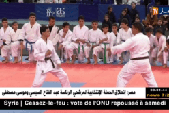 وزير الشباب والرياضة يحضر حفل تأسيس إتحاديتي الجيجتسو و الفوفينام