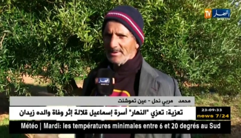 عين تموشنت: مربو النحل يشتكون تدني مردودية الإنتاج بالآونة الأخيرة