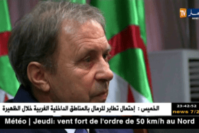 الناخب الوطني الأسبق راييفاتس يكشف أسرار تجربته القصيرة مع الخضر