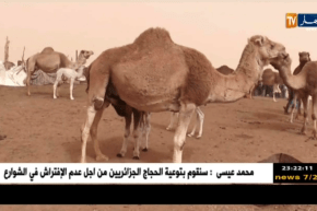 البيض: بعثة أوروبية لتقييم قطاع تربية الإبل تحل بالولاية