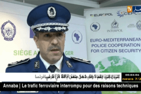 إختتام مشاريع عمل افريبول- أوروماد شرطة 4 حول “دليل العرائض والأدلة الرقمية”