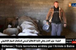 خنشلة: شباب متشبثون بتربية الماشية رغم غلاء الأعلاف وغياب الدعم