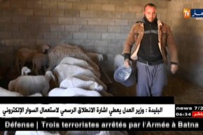 خنشلة: شباب متشبثون بتربية الماشية رغم غلاء الأعلاف وغياب الدعم