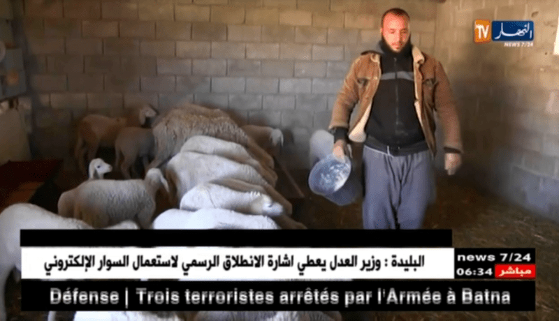 خنشلة: شباب متشبثون بتربية الماشية رغم غلاء الأعلاف وغياب الدعم