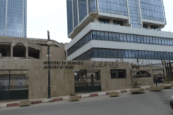 تجارة: منح الرخص عبر المزاد.. هل سينجح التشريع في وقف فوضى الإستيراد ؟