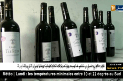 الوادي: حجز أزيد من 16 ألف وحدة من المشروبات الكحولية