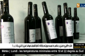 الوادي: حجز أزيد من 16 ألف وحدة من المشروبات الكحولية