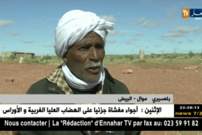 البيض: الزوابع الرملية الأخيرة تؤثر على نشاط الفلاحين والموالين