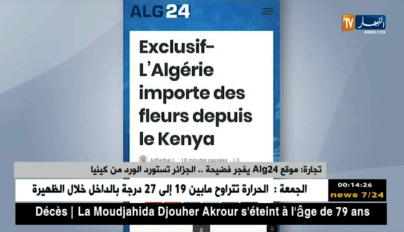 تجارة: موقع alg24 يفجر فضيحة.. الجزائر تستورد الورد من كينيا