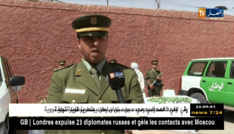 أدرار: توقيف شيخ وحجز 183 شجيرة من القنب الهندي و18 شجيرة من العفيون