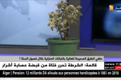 صاحب مشتلة..هذا ما تحتاجه النباتات لتحافظ على إخضرارها وتتفتح أكثر