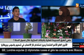 صاحب مشتلة: مسك الليل.. الياسمين ..القرنفل ..نباتات تلقى رواجا وسط الجزائريين