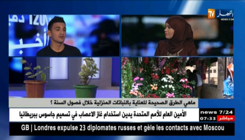 صاحب مشتلة: مسك الليل.. الياسمين ..القرنفل ..نباتات تلقى رواجا وسط الجزائريين