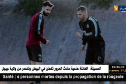 نيوكاسل يؤكد تنقل سليماني إلى الجزائر من أجل الخضوع للفحص الطبي