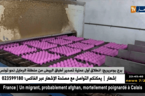 برج بوعريريج: إنطلاق أول عملية تصدير أطباق البيض من منطقة الرمايل نحو تونس