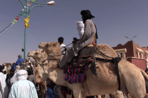 برج باجي مختار: لحوار.. بن عشار وأجدع.. هذه هي أنواع وأسماء الإبل