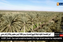 سياحة: زيارة الأضرحة.. حب للإستطلاع أم تبرك وتقرب ؟