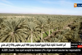 سياحة: زيارة الأضرحة.. حب للإستطلاع أم تبرك وتقرب ؟