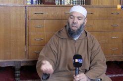 دين: هكذا يأمر الدين الإسلامي بالتعامل مع الحيوانات الضالة