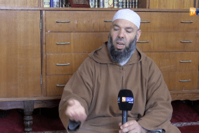 دين: هكذا يأمر الدين الإسلامي بالتعامل مع الحيوانات الضالة