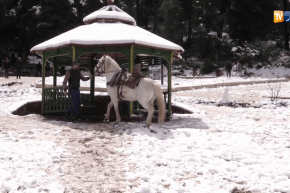 تلمسان: الثلوج تغطي جنوب الولاية.. وهضبة لالة ستي وجهة العائلات