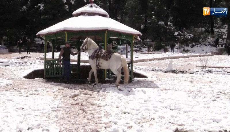 تلمسان: الثلوج تغطي جنوب الولاية.. وهضبة لالة ستي وجهة العائلات