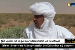 غرداية: زراعة الترفاس.. تجربة ناجحة تستحق التشجيع