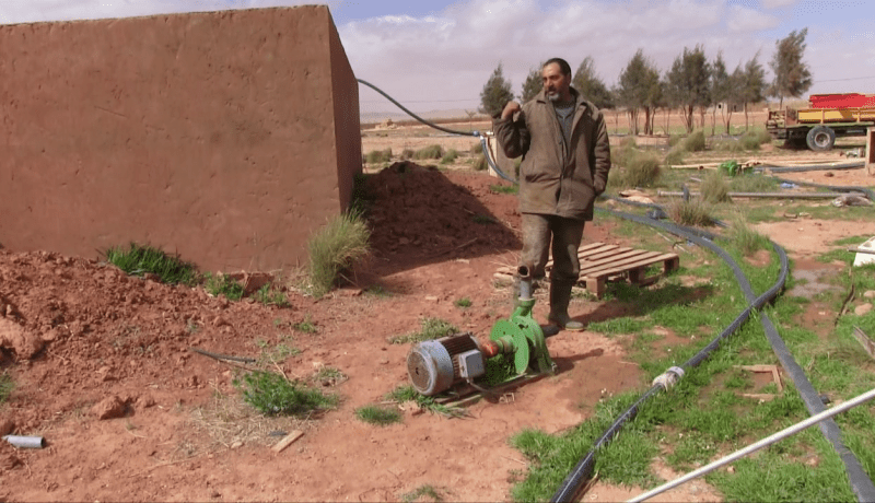 النعامة: تربية الأبقار الحلوب.. شعبة هامة تستوجب المرافقة والدعم