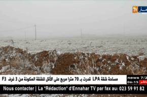 الأغواط: تساقط معتبر للثلوج بالمناطق الشمالية للولاية