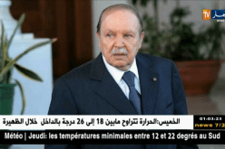 رئاسة: رئيس الجمهورية يجري تعديلا حكوميا جزئيا مسّ أربع وزرات