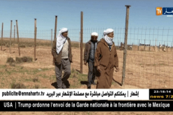 البيض: إنشاء محشر للإبل يثير حفيظة الموالين..
