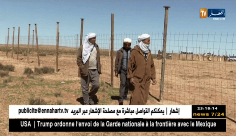 البيض: إنشاء محشر للإبل يثير حفيظة الموالين..