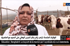 تبسة: سلاف.. مثال المرأة الريفية صاحبة المشروع الناجح في تربية الأبقار الحلوب