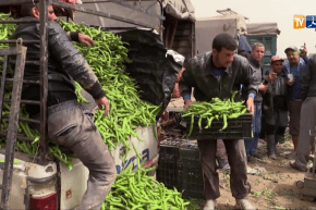 غليزان: سوق الحرورة.. علامة مسجلة ووجهة الفلاحين لتسويق منتجاتهم