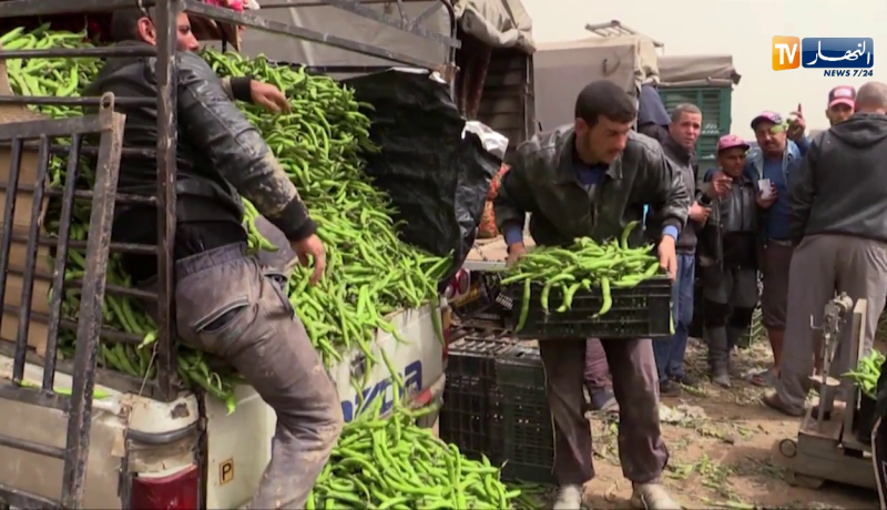 غليزان: سوق الحرورة.. علامة مسجلة ووجهة الفلاحين لتسويق منتجاتهم