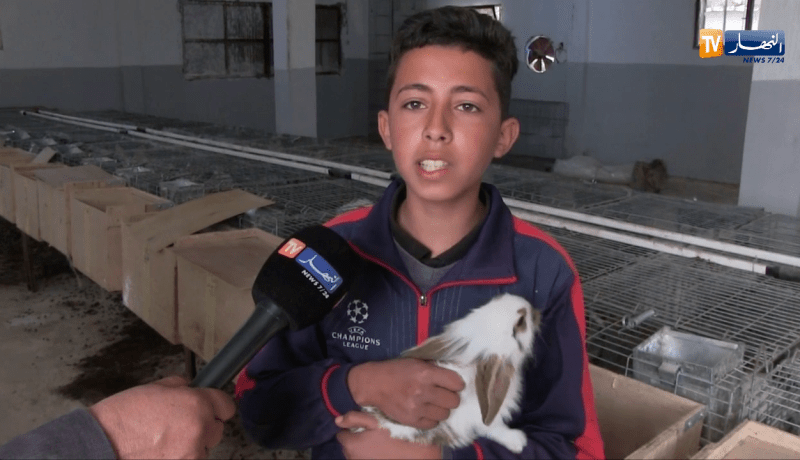 أم البواقي: سلالات نادرة لتحسين تربية الأرانب رغم غياب الدعم و المرافقة