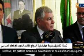 وزير الطاقة يعبّر عن سخطه من تأخر أشغال محطة توليد الكهرباء بمستغانم