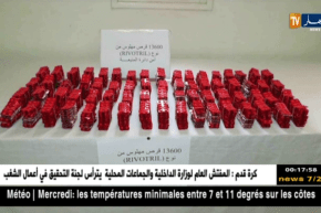 غرداية: الشرطة تحجز 13600 قرص مهلوس بالمحشر البلدي بالمنيعة