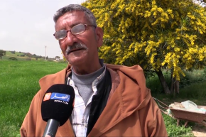 غليزان: بيع الدجاج على حافة الطرقات… مصدر رزق لعشرات العائلات