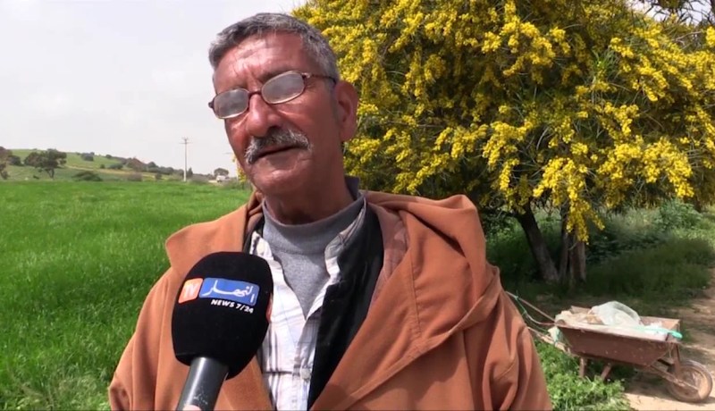 غليزان: بيع الدجاج على حافة الطرقات… مصدر رزق لعشرات العائلات