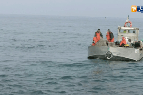 طقس: تأثير التقلبات الجوية على حركة الملاحة البحرية