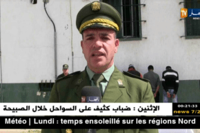 عين تموشنت: تفكيك شبكة مختصة في سرقة المواشي و استرجاع 239 رأس غنم